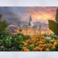 Provo City Center Temple Orange Flowers