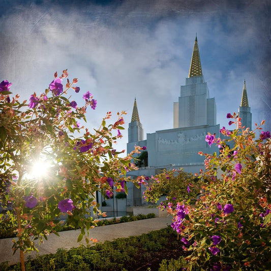 Oakland Brightness and Glory Gallery Wrap