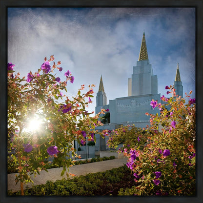 Oakland Brightness and Glory Gallery Wrap