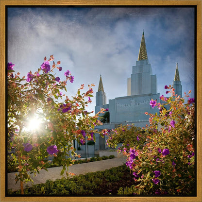 Oakland Brightness and Glory Gallery Wrap