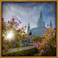 Oakland Brightness and Glory