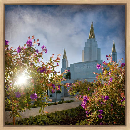 Oakland Brightness and Glory Gallery Wrap