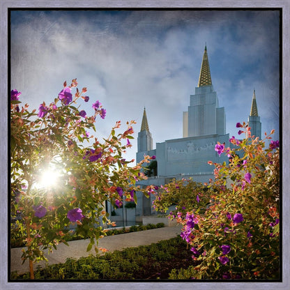 Oakland Brightness and Glory Gallery Wrap