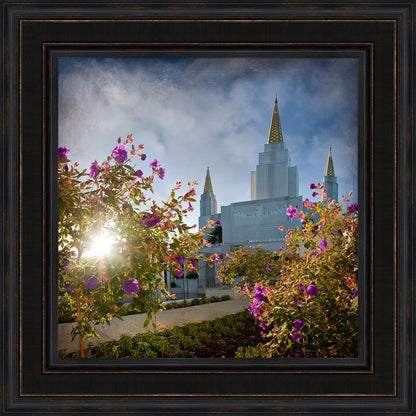 Oakland Brightness and Glory