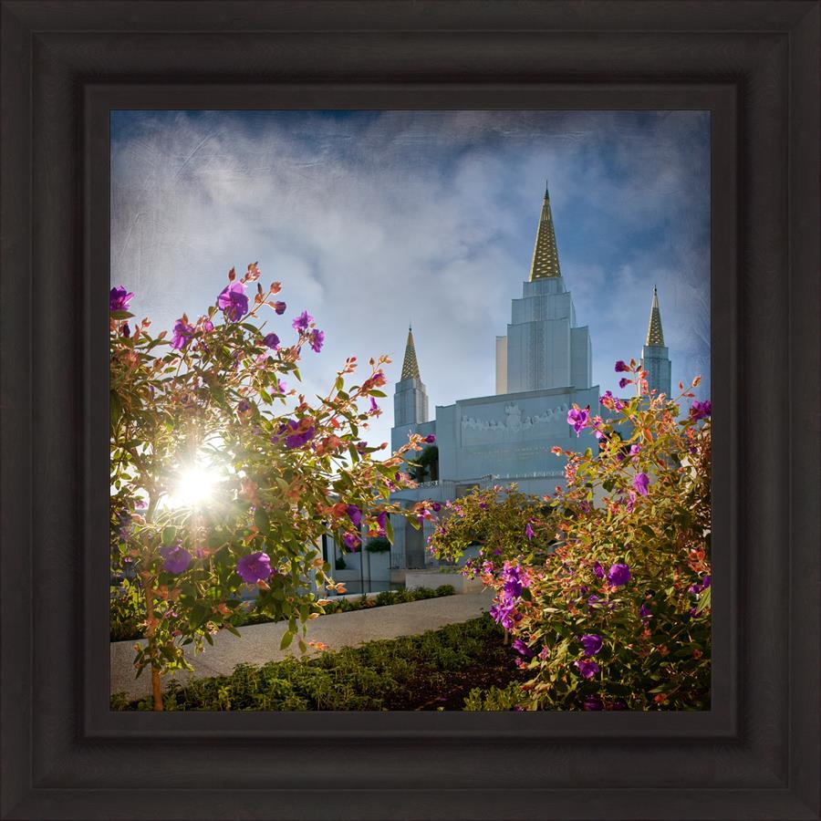 Oakland Brightness and Glory