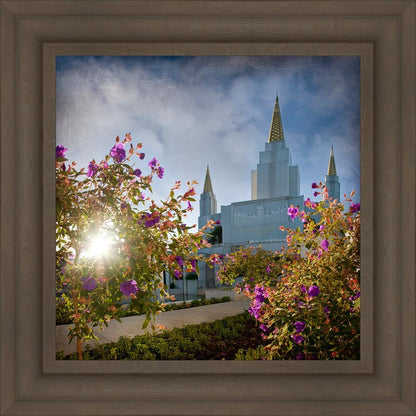 Oakland Brightness and Glory