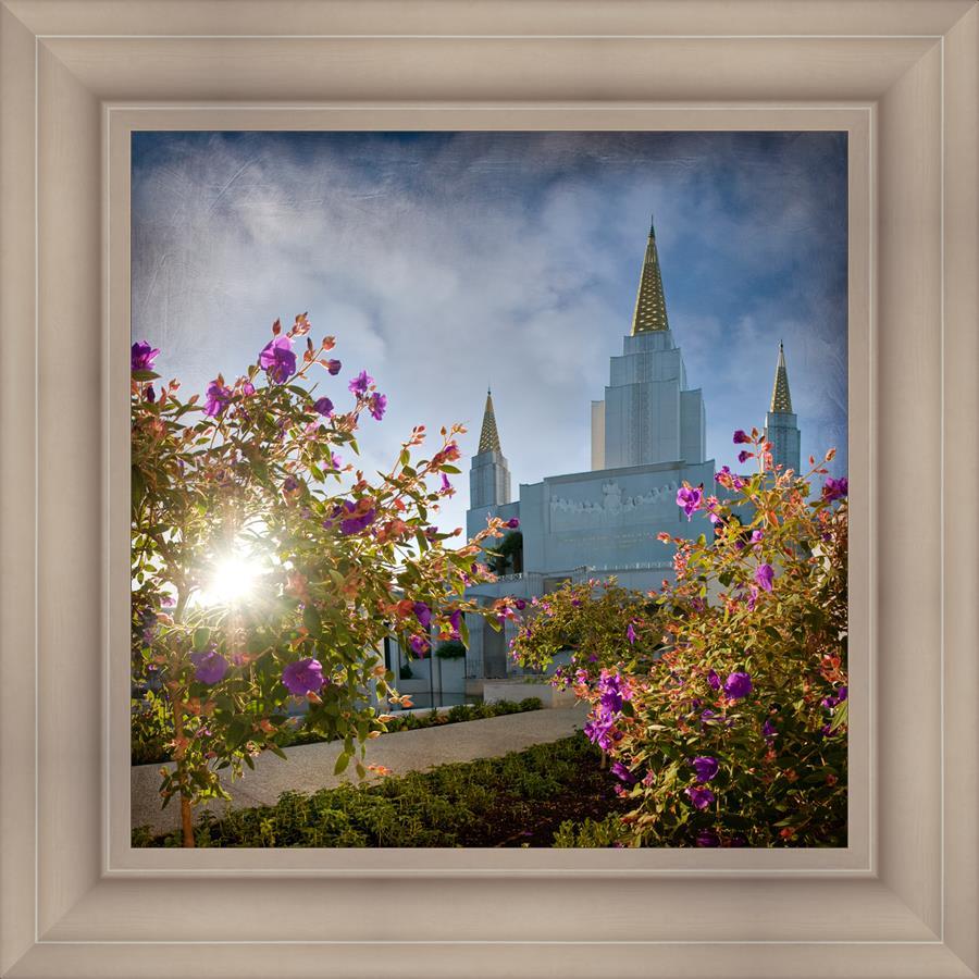 Oakland Brightness and Glory