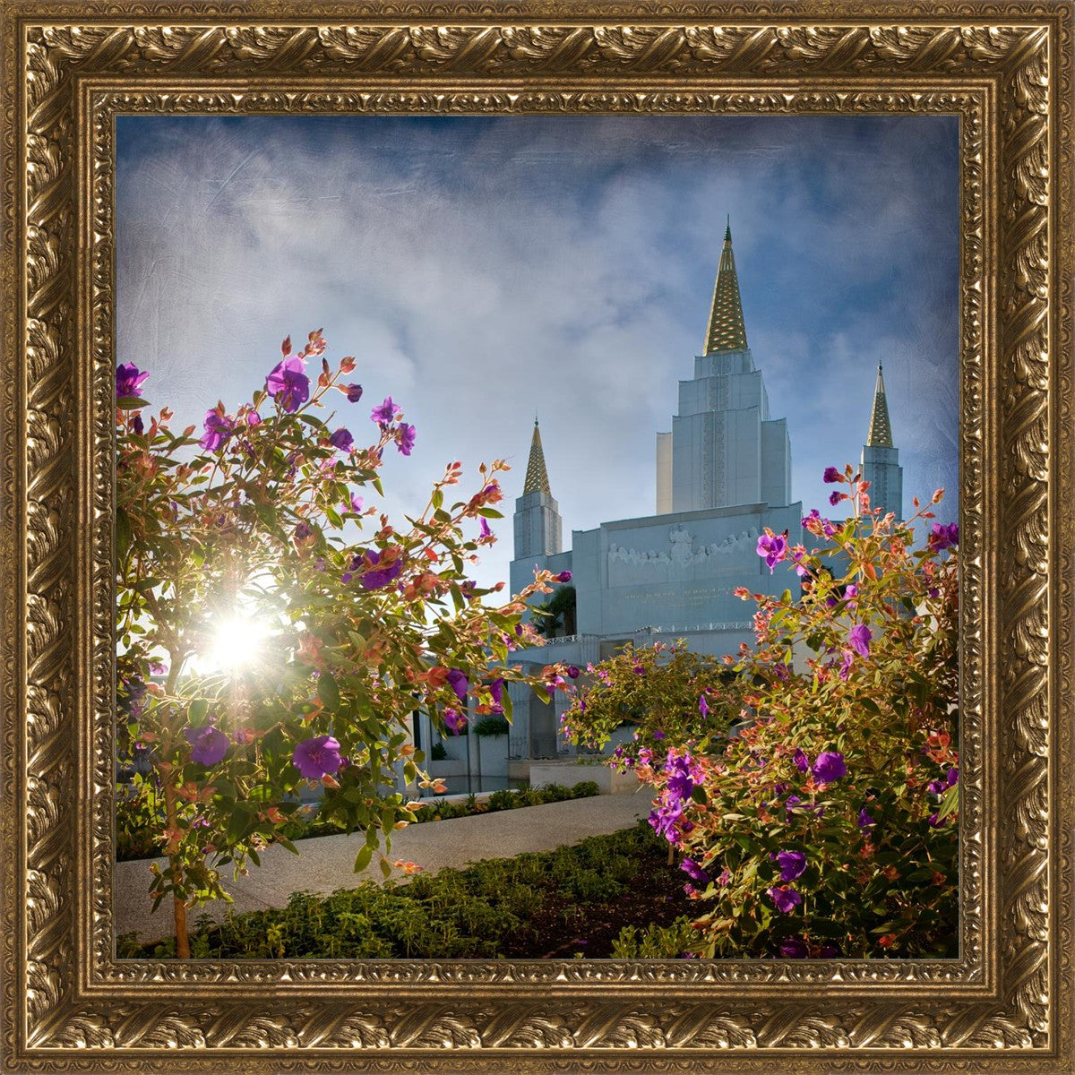 Oakland Brightness and Glory