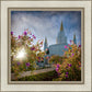 Oakland Brightness and Glory