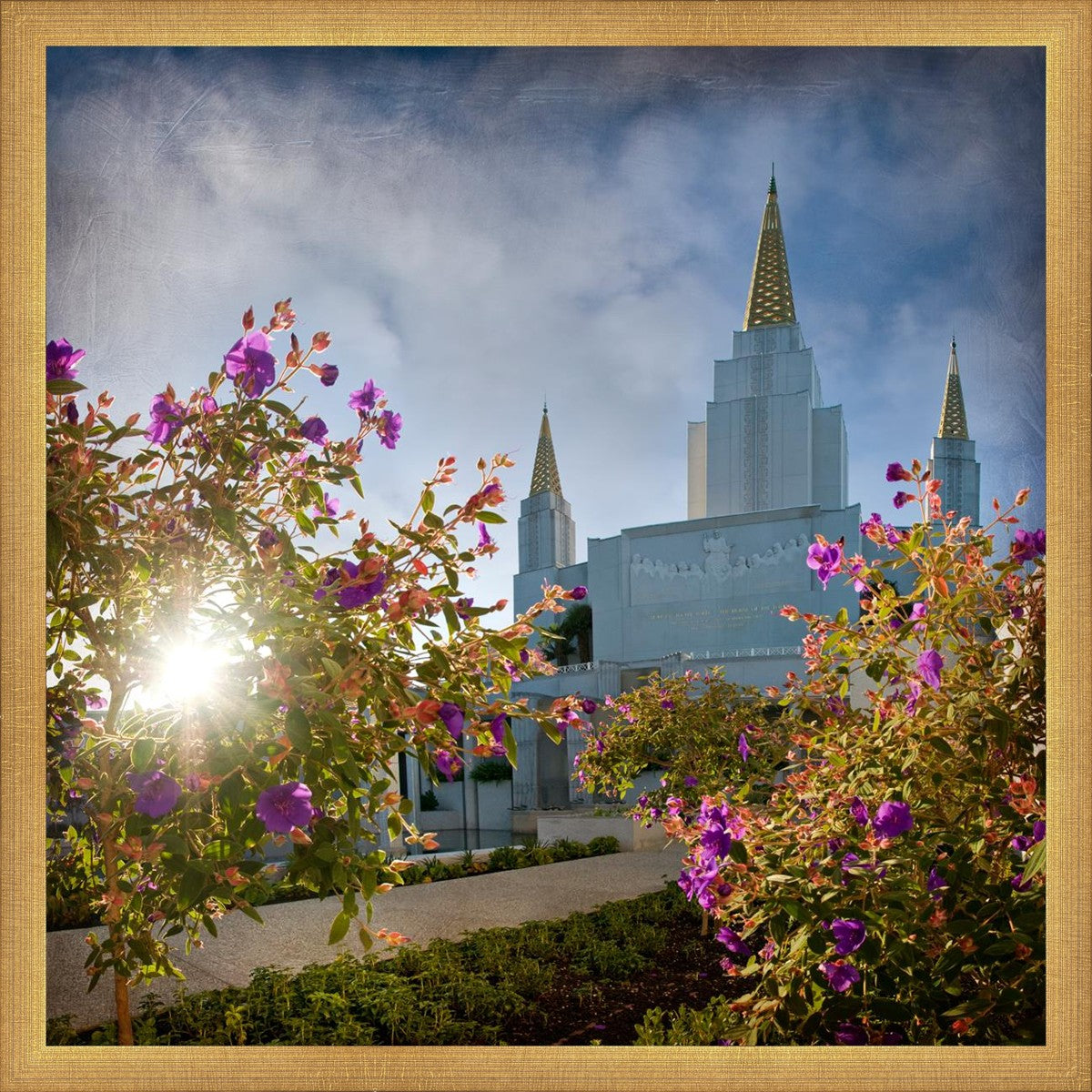 Oakland Brightness and Glory