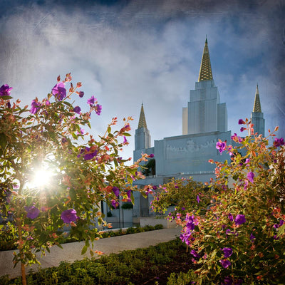 Oakland California Temple Pictures & Art