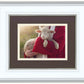 The Good Shepherd
