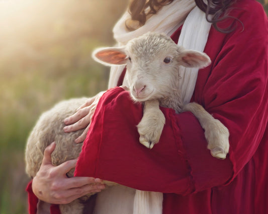 The Good Shepherd Gallery Wrap