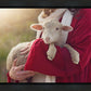 The Good Shepherd