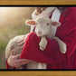 The Good Shepherd