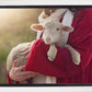 The Good Shepherd