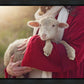 The Good Shepherd