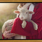 The Good Shepherd