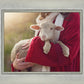 The Good Shepherd