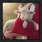 The Good Shepherd