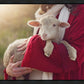 The Good Shepherd