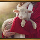 The Good Shepherd