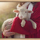 The Good Shepherd