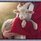 The Good Shepherd
