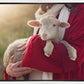The Good Shepherd