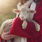 The Good Shepherd