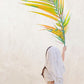 Palm Sunday