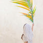 Palm Sunday
