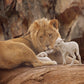 The Lion and The Lamb