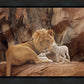 The Lion and The Lamb