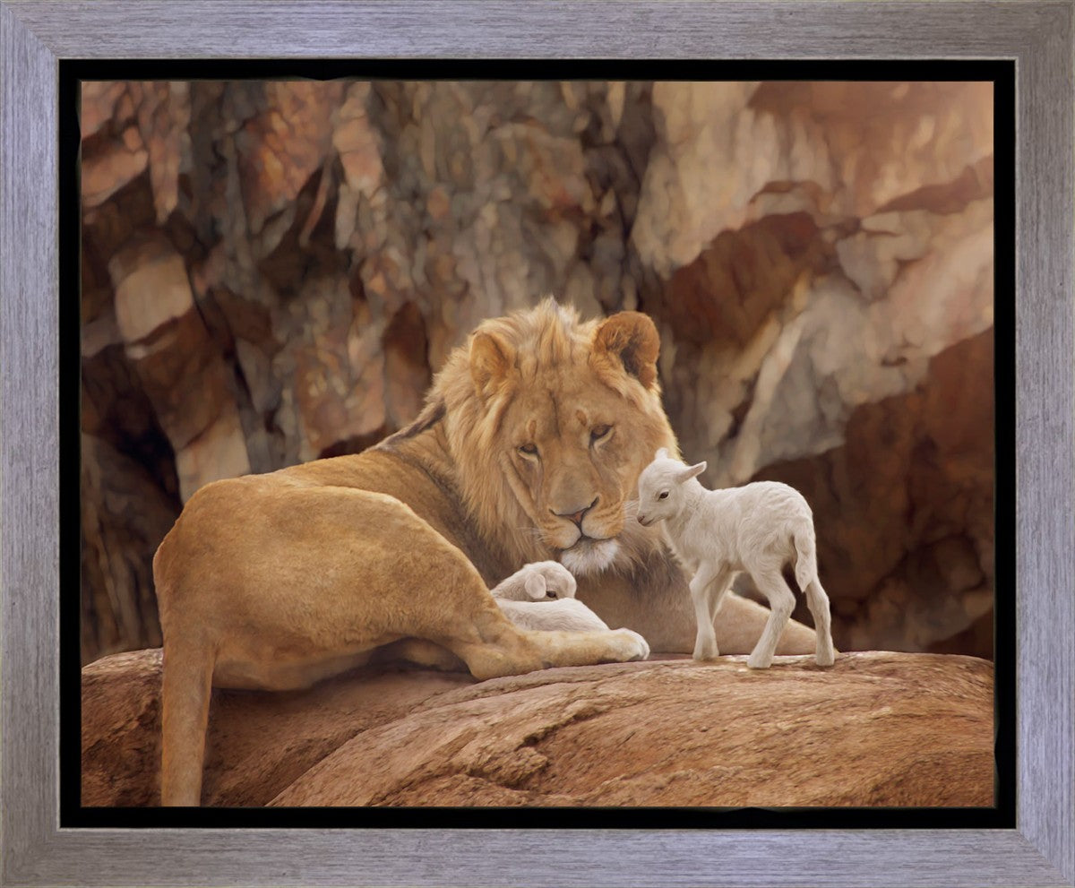 The Lion and The Lamb Gallery Wrap