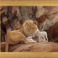 The Lion and The Lamb