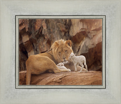 The Lion and The Lamb