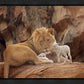 The Lion and The Lamb