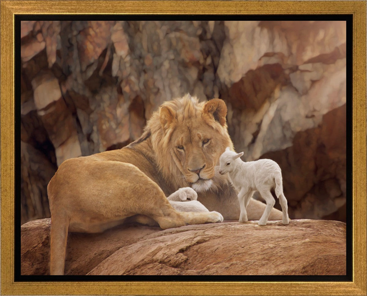 The Lion and The Lamb Gallery Wrap