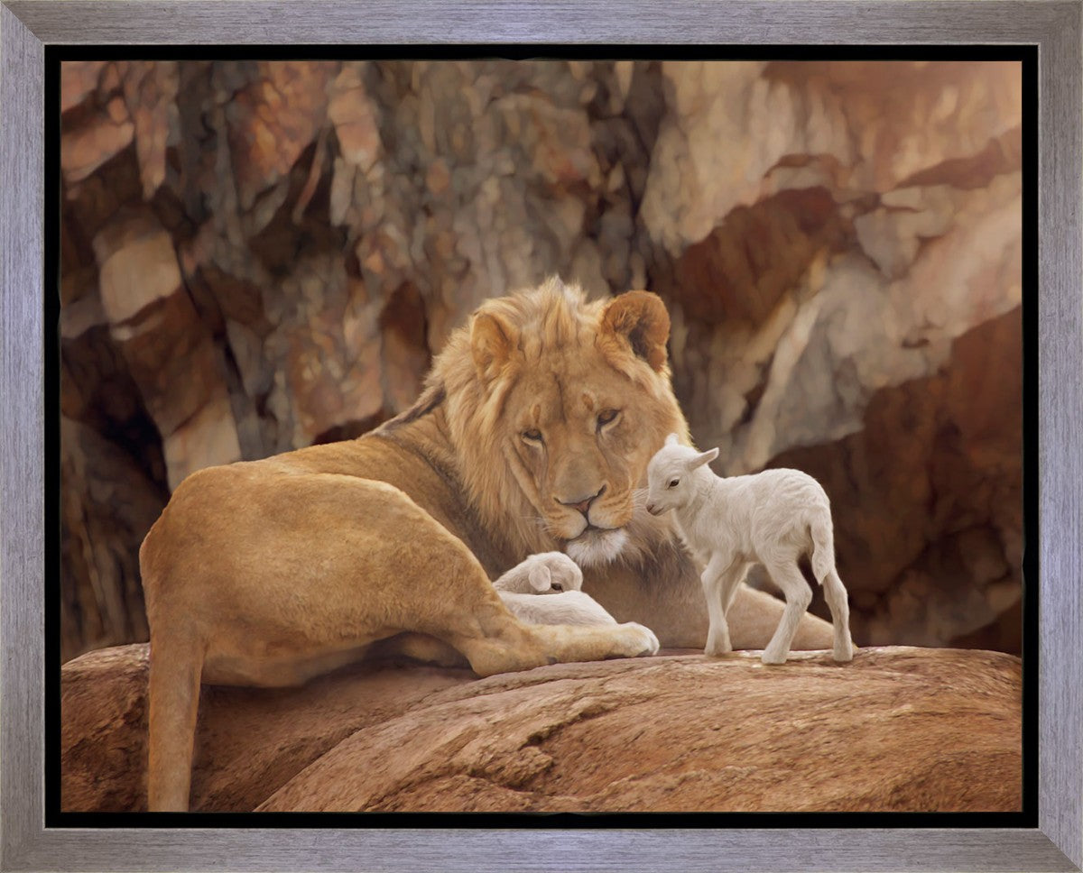 The Lion and The Lamb Gallery Wrap