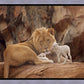 The Lion and The Lamb