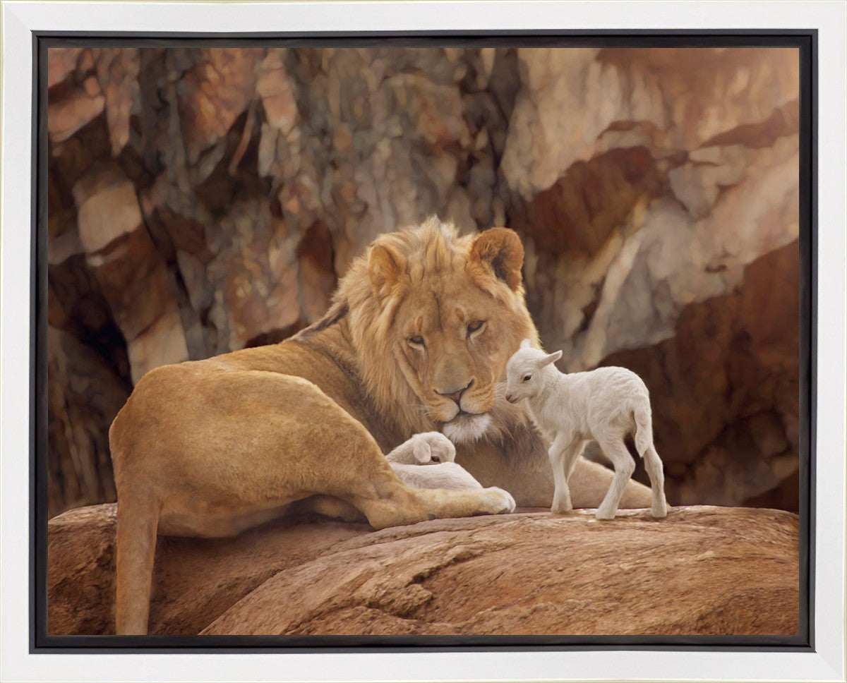 The Lion and The Lamb Gallery Wrap