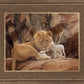 The Lion and The Lamb