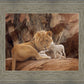 The Lion and The Lamb