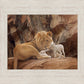 The Lion and The Lamb