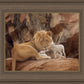 The Lion and The Lamb