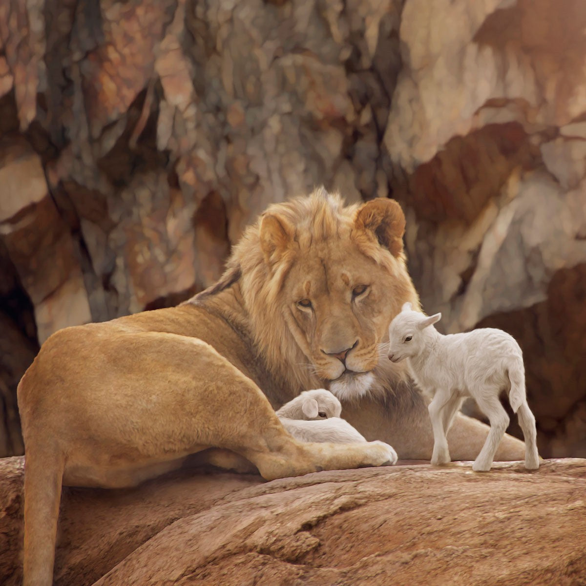 The Lion and The Lamb Gallery Wrap