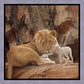 The Lion and The Lamb