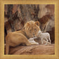 The Lion and The Lamb