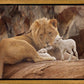 The Lion and The Lamb